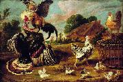 Paul de Vos The fight between a turkey and a rooster. France oil painting artist